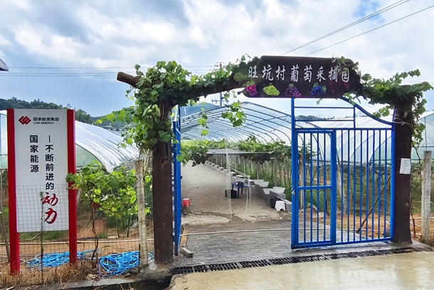 1图为葡萄采摘园入口_副本